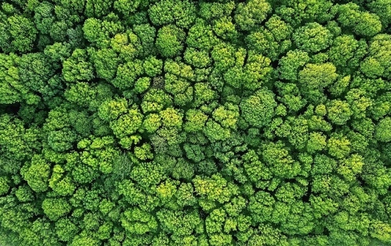 FGV Earth será lançado em três dias de programação com foco em governança ambiental e inovação