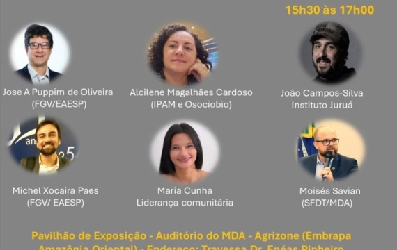 Territorios e cadeias de valor na Amazônia brasileira: Governança Colaborativa e Papel do Estado e do Financiamento Climático