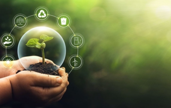 Seminário Seguro e Transformação Ecológica: Rumo à COP-30