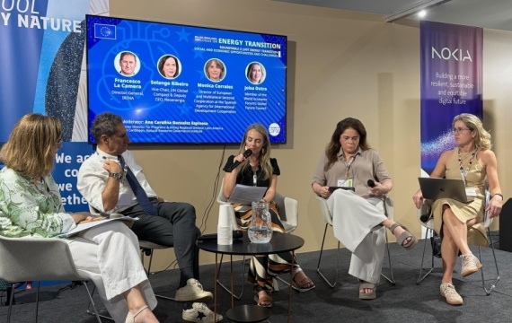 Diretora do FGV CERI participa de diálogo sobre transição energética justa na COP30