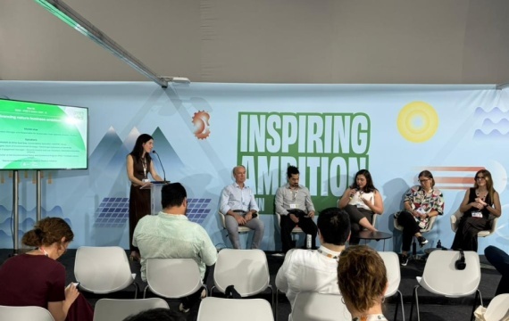 Empresas e especialistas discutem ambição Nature Positive em painel na COP30