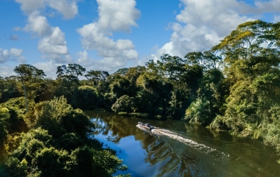 FGV participa do lançamento do GEO Brasil 2025 na COP30