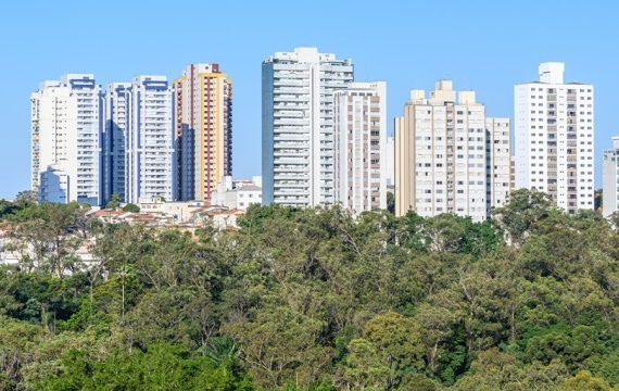  Webinar Plano de Ação Climática da Cidade de São Paulo 